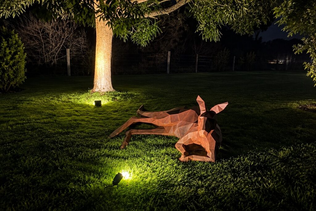 Tree lit by a garden uplight at night